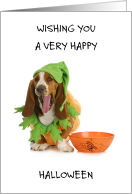 Happy Halloween Basset Hound Wearing Pumpkin Costume card