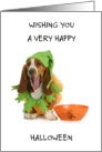 Happy Halloween Basset Hound Wearing Pumpkin Costume card