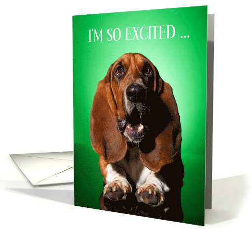 Happy St.Patrick's Day Excited Basset Hound card (1754954)