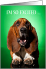 Happy St.Patrick’s Day Excited Basset Hound card