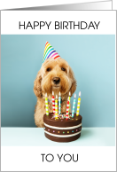 Happy Birthday Cockapoo Dog with Cake and Lit Candles card