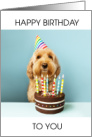Happy Birthday Cockapoo Dog with Cake and Lit Candles card