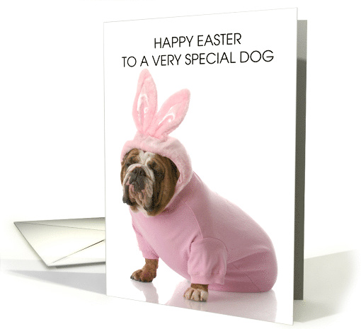 Happy Easter to Pet Dog Bulldog Wearing a Cute Bunny Oufit card