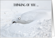 Thinking of You During Snowstorm Car Hidden Under Snow card