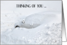 Thinking of You During Snowstorm Car Hidden Under Snow card