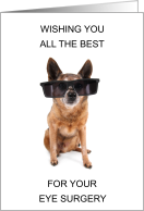 Speedy Recovery from Eye Surgery Dog Wearing Oversized Shades card