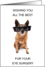 Speedy Recovery from Eye Surgery Dog Wearing Oversized Shades card
