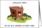 Congratulations on New Pet Chickens in Coop card