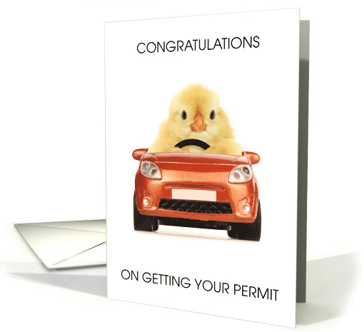 Congratulations On Getting Driving Permit Chick Driving Car card