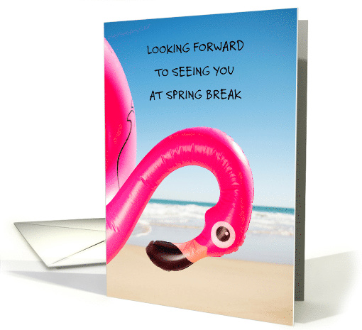 Looking Forward to Seeing You at Spring Break Plastic Flamingo card