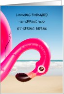 Looking Forward to Seeing You at Spring Break Plastic Flamingo card