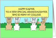 Happy Easter Granddaughter Away at College Cartoon Bunnies card