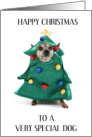 Happy Christmas to the Dog Chihuahua in Tree Costume card