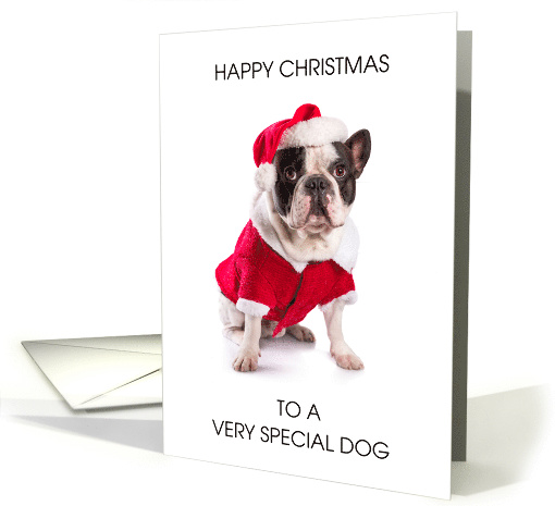Happy Christmas to the Dog French Bulldog in Santa Outfit card