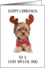 Happy Christmas to Dog Yorkshire Terrier in Reindeer Outfit card