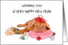 Happy New Year Dogue de Bordeaux Worn Out from Christmas card