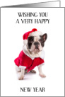 Happy New Year French Bulldog Wearing Father Christmas Outfit card