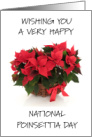 National Poinsettia Day December 12th card