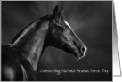 National Arabian Horse Day February 19th card