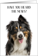 National Australian Shepherd Day January 9th card