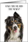 National Australian Shepherd Day January 9th card