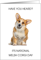 National Welsh Corgi Day March 1st card