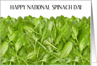 National Spinach Day March 26th card