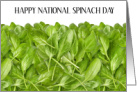 National Spinach Day March 26th card