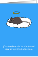 Sympathy on Loss of Pet Brown Mouse card