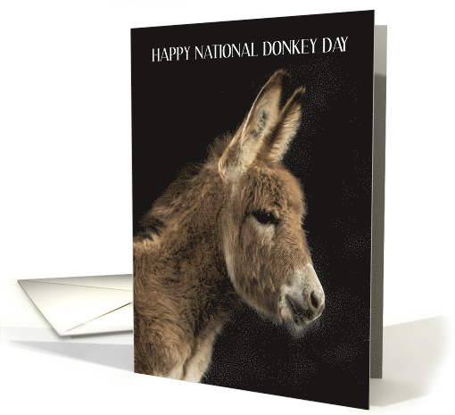 National Donkey Day May 8th card (1846194)