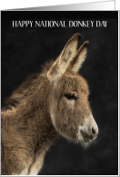 National Donkey Day May 8th card