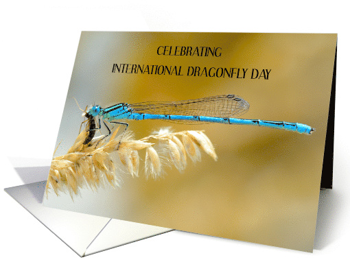 International Dragonfly day June card (1853576)
