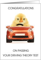 Congratulations on Passing Driving theory Test card