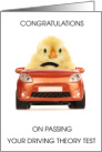 Congratulations on Passing Driving theory Test card