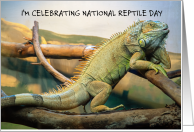 National Reptile Day October 21st card