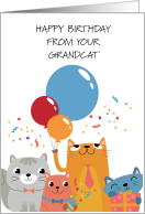 Happy Birthday from Your Grandcat card