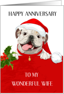 Happy Anniversary to Wife Festive English Buldog card