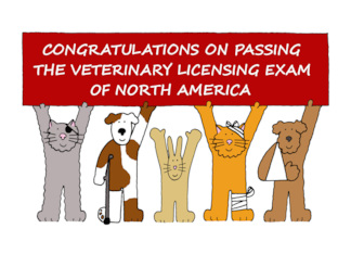 Congratulaitons on Passing Veterinary Licensing Exam of North America
