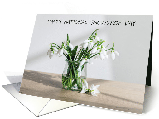 National Snowdrop Day February 8th card (1903530)