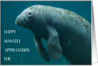 Manatee Appreciation Day March card