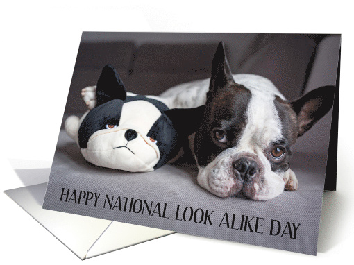 National Look Alike Day April 20th card (1918768)