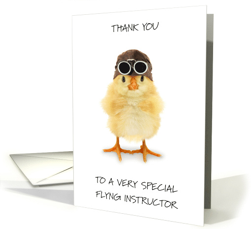 Thank You to Flying Instructor card (1929606)
