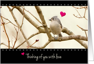 Thinking of You with Love, Sweet Bird with Hearts card