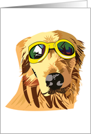 Birthday goggle dog card