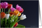 Multicolored Tulips card