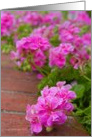 Pink Geranium card
