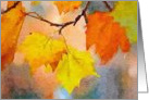 Watercolor Autumn Leaves Blank card