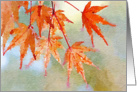 Autumn Leaves in Watercolor Blank card