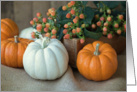 Pumpkins and Burlap Autumn Blank card