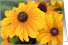 Rudbeckia Flowers Blank card